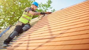 Best Roof Moss and Algae Removal  in Blue Earth, MN