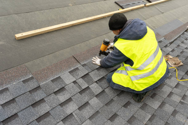 Best Metal Roofing Installation  in Blue Earth, MN