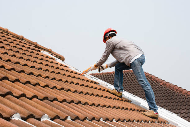 Best Slate Roofing  in Blue Earth, MN