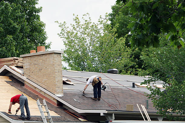 Best Sheet Metal Roofing  in Blue Earth, MN